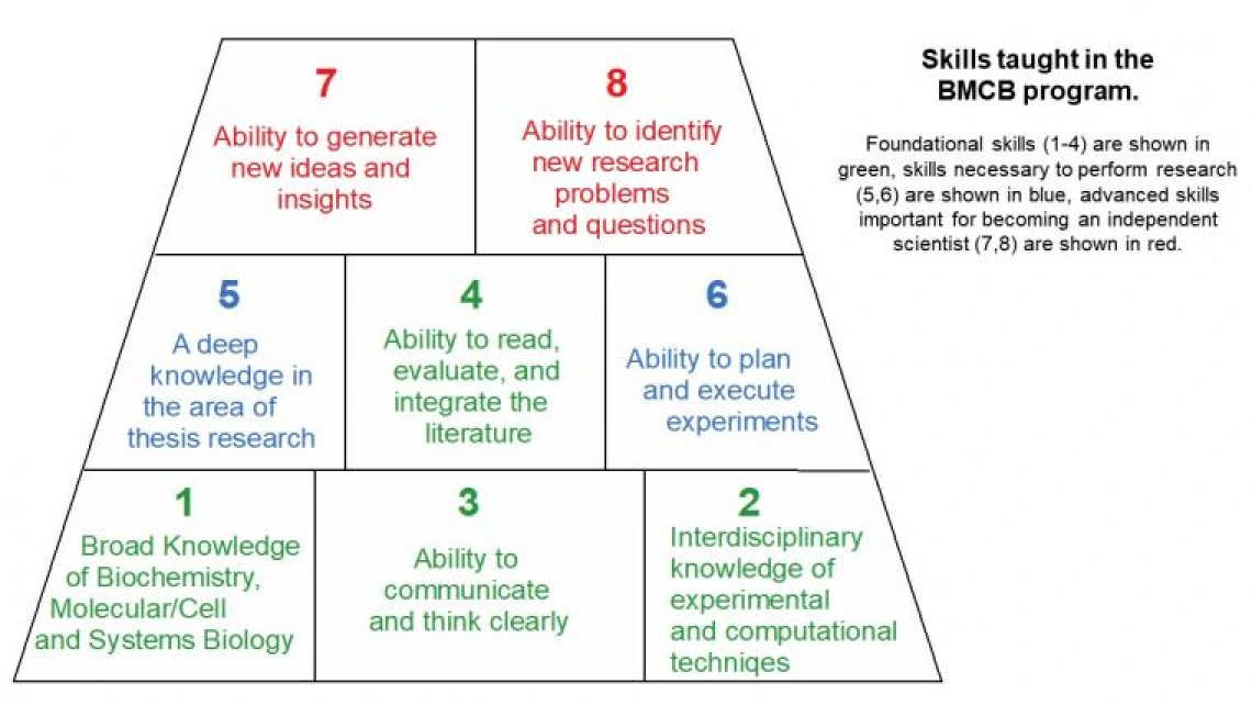 Skills Chart