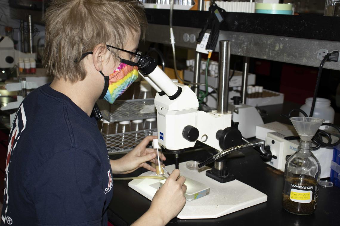 BMCB Graduate Student Working with fruit flies in Zarnescu Lab